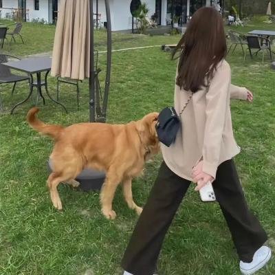 女探长 在线观看